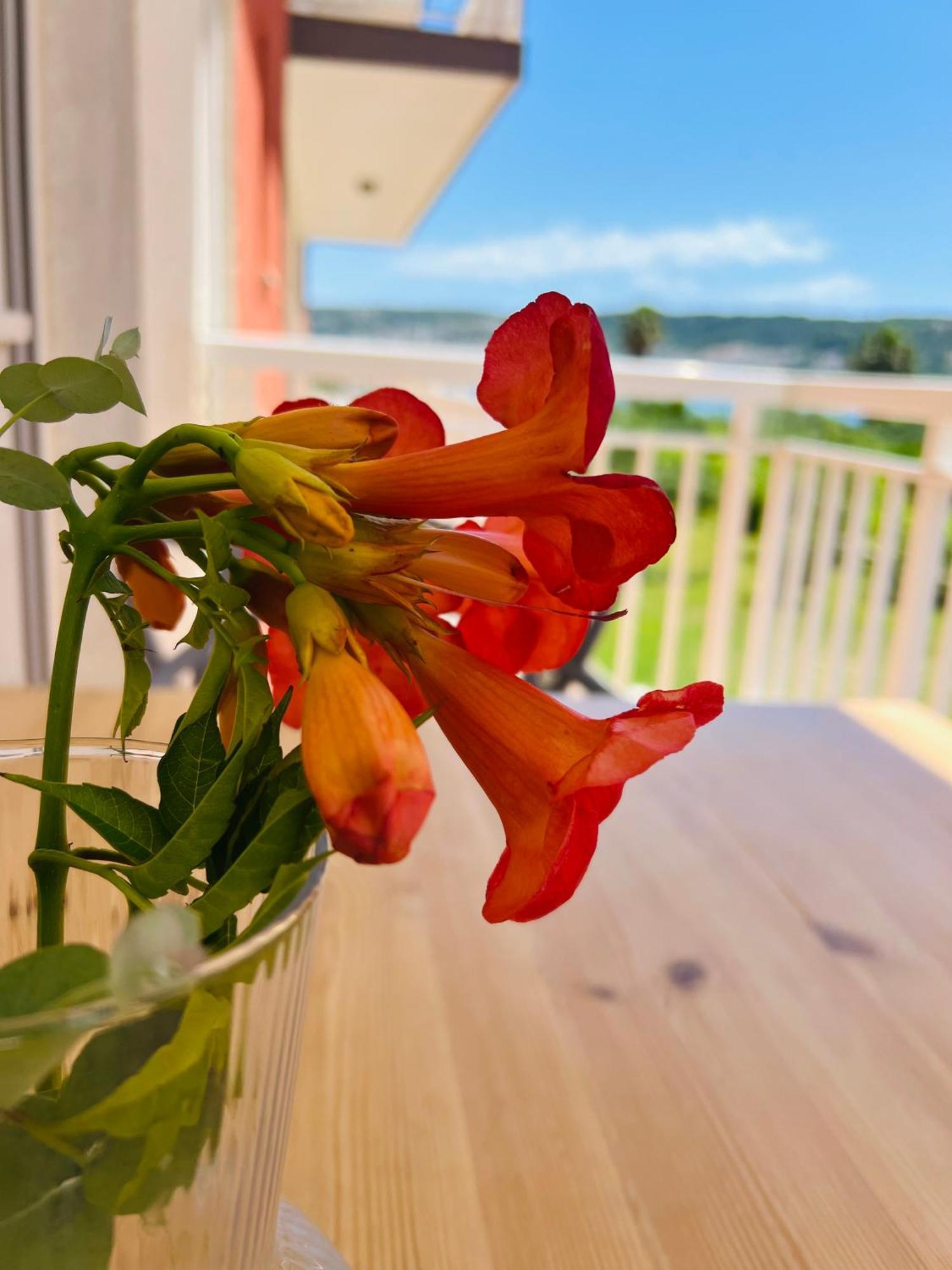Apartments Zora Trogir Dış mekan fotoğraf
